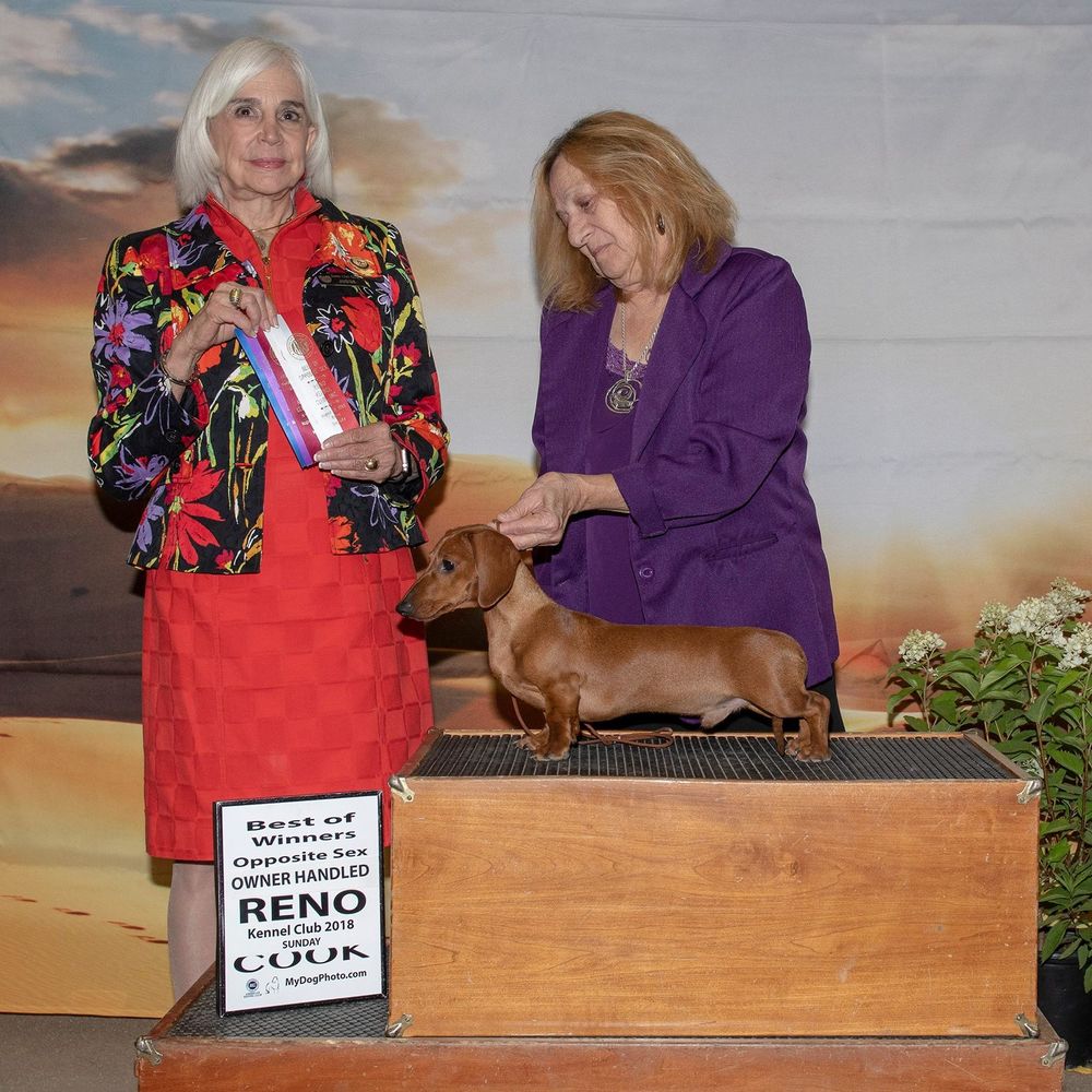 Meet your Posher, Janet